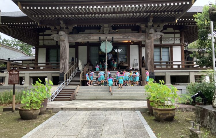 雨あがりの貴重な晴れ間に🎵