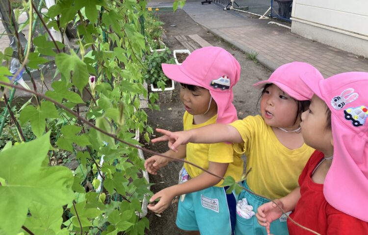 【今日の１日は】